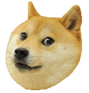 :doge: